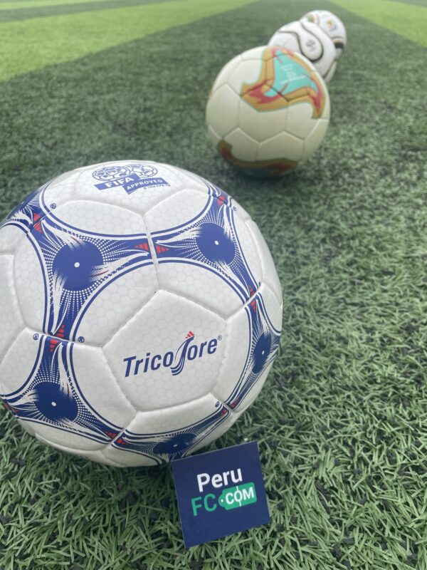 francia 98 pelota