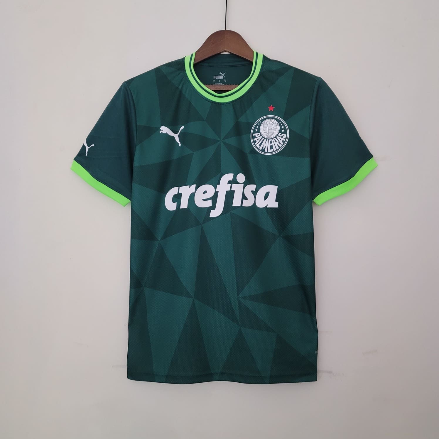 masilla Post impresionismo Plisado Camiseta Palmeiras 2023 home | Puma - Peru FC